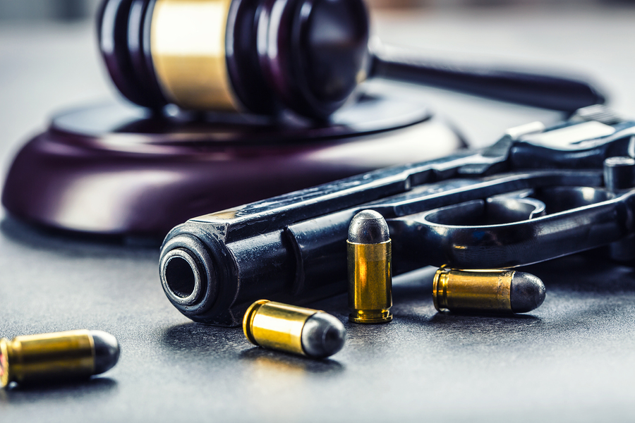 guns-deadly force-rights